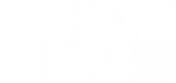 dmf_logo_weiss